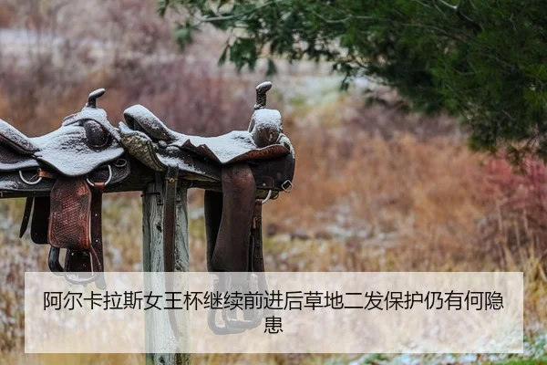 a-er-ka-la-si-nv-wang-bei-ji-xu-qian-jin-hou-cao-di-er-fa-bao-hu-reng-you-he-yin-huan-2-947.jpg