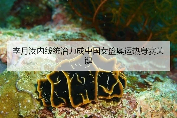 李月汝内线统治力成中国女篮奥运热身赛关键
